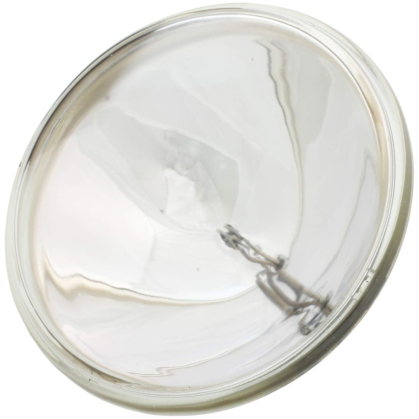Wagner Lighting 4636 Standard Multi-Purpose Light Bulb Box of 1