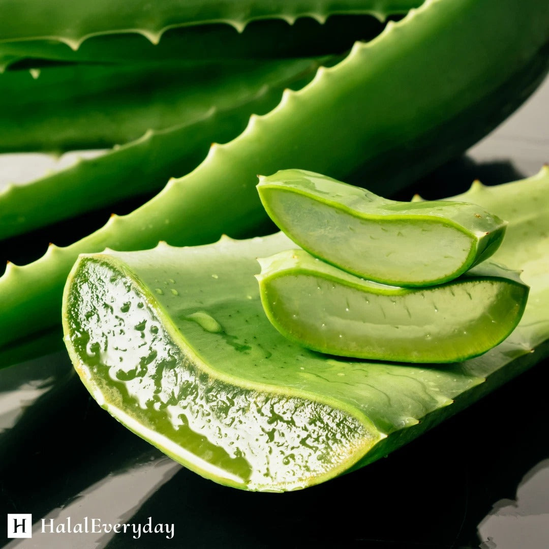 Pure Aloe Vera Gel Bulk