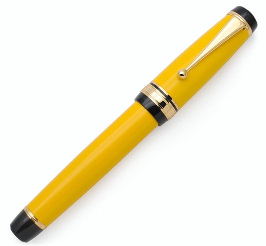 xixixiaozhu Metal Big Fountain Pen Set Medium Nib 0.7mm, Includes Ink Refill Converter, 5 Ink Cartridges & Gift Box (Medium Nib 0.7mm, Yellow)