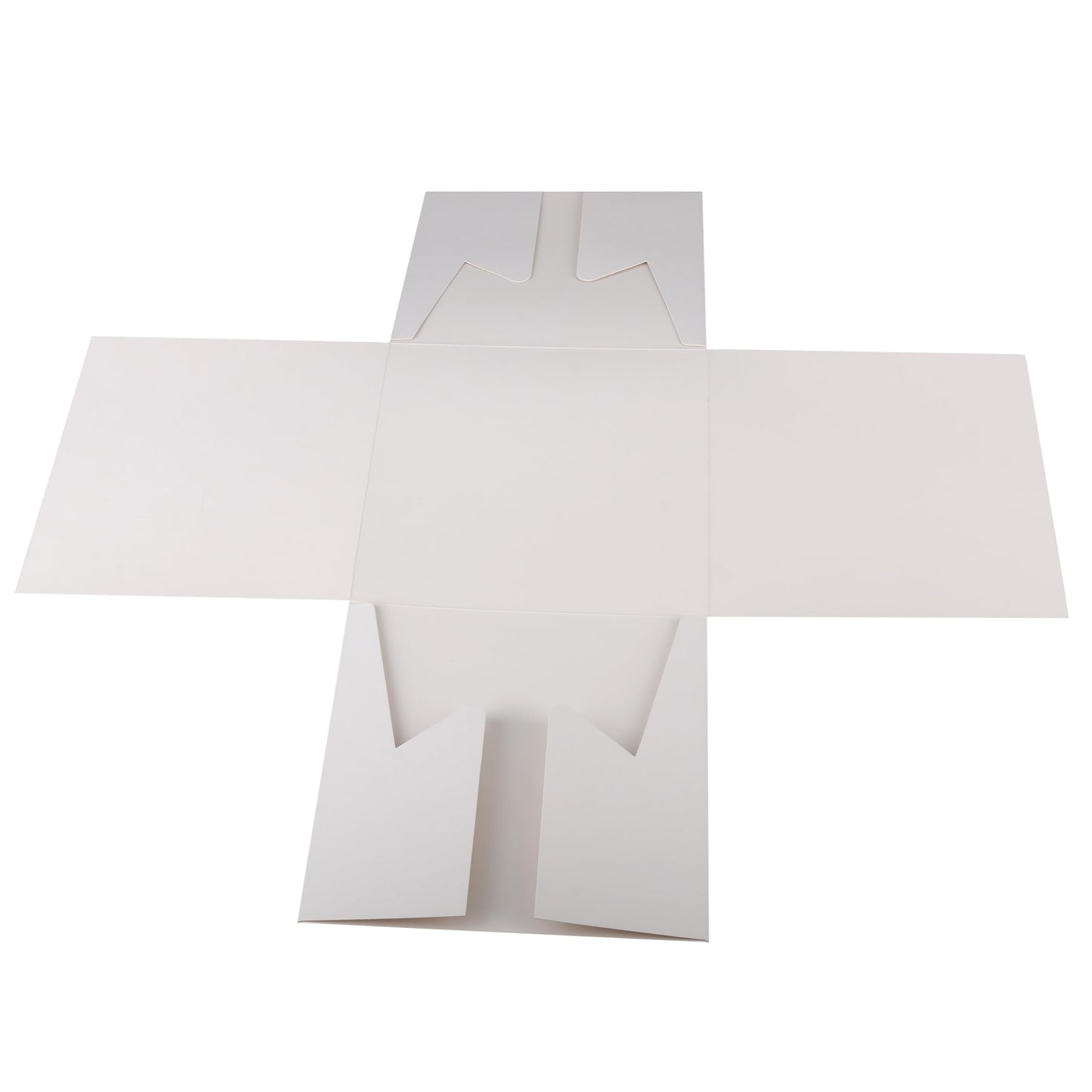 Cakebon Cake Boxes with Drums - 8 Inch Round White Cake Boards/Base para Pasteles (3-Pack) - Caja para Pasteles with Window for Birthdays, Weddings and Parties