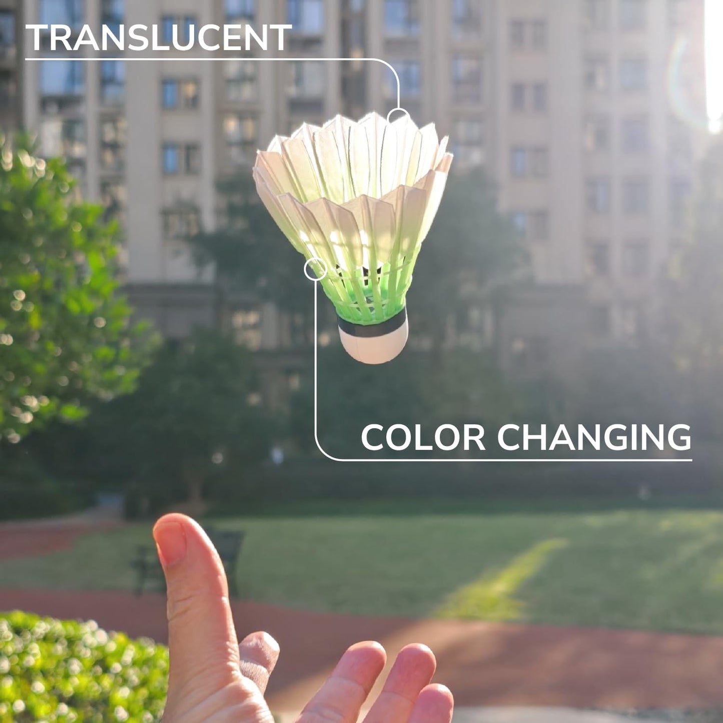 Polymaker Panchroma Gradient PLA Translucent Magenta and Green 3D Printing Filament, 1.75mm 1KG, Premium Gradient PLA, Easy to Print, AMS Compatible, Perfect for Lamp Shades, Vases, Ornaments