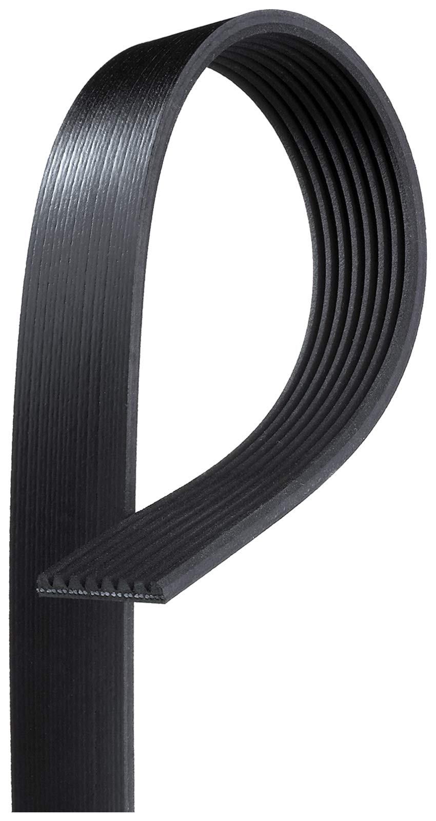 Gates K081264 Belt