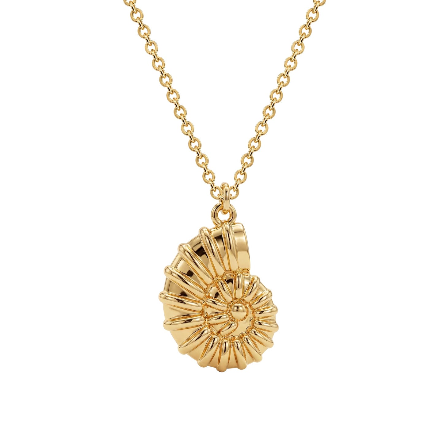 Dremmy Studios Dainty Necklace for Women 14K Gold Plated Conch Necklace Boho Summer Beach Coastal Pendnat Necklaces for Women Summer Jewelry Gift