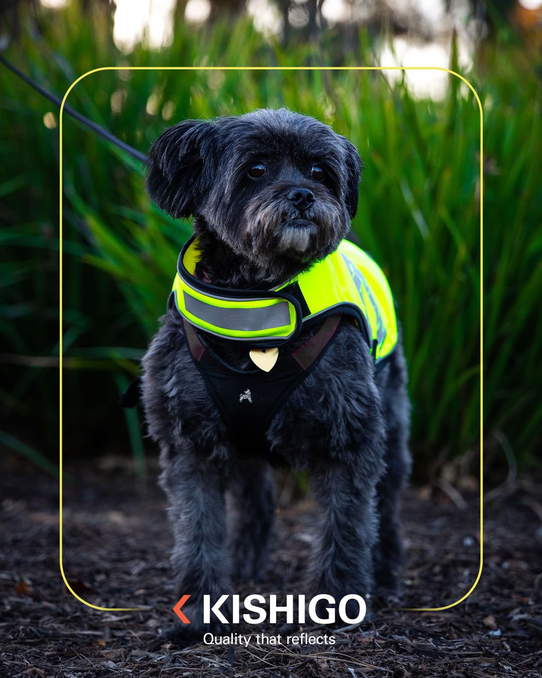 Reflective Dog Safety Vest, Harness and Collar Compatible, Waste Bag Holder, Water Resistant, Adjustable Neck and Chest, Day or Night Walking, High-Visibility Protection (Lime, L)