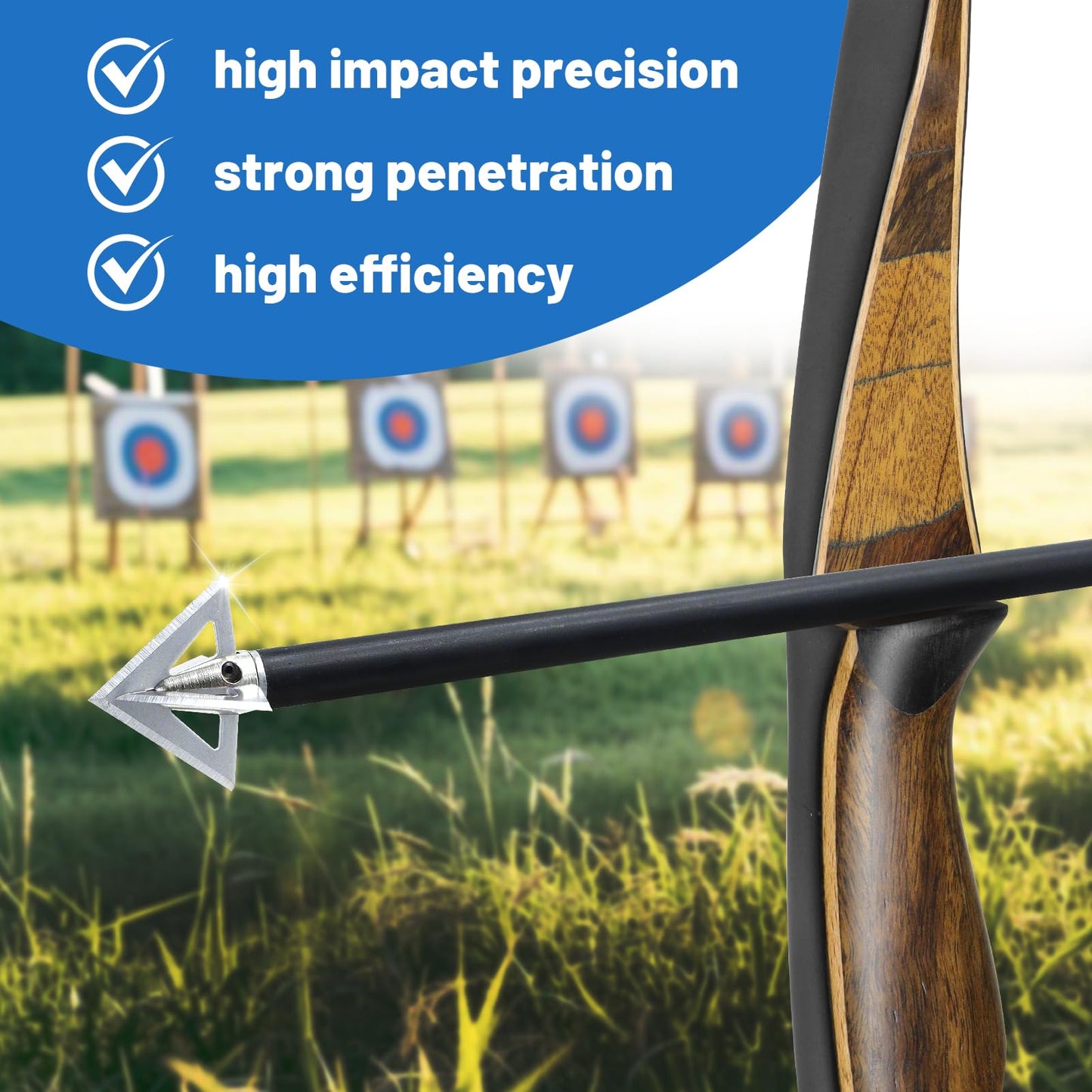 RUOERSISI 6/12 Pcs 100 Grain Stainless Steel Arrowhead Fixed Blade Hunting Broadheads Screw in Arrowheads Traditional Archery Arrow Tips for Compound, Recurve Bow & Crossbow (6pcs)