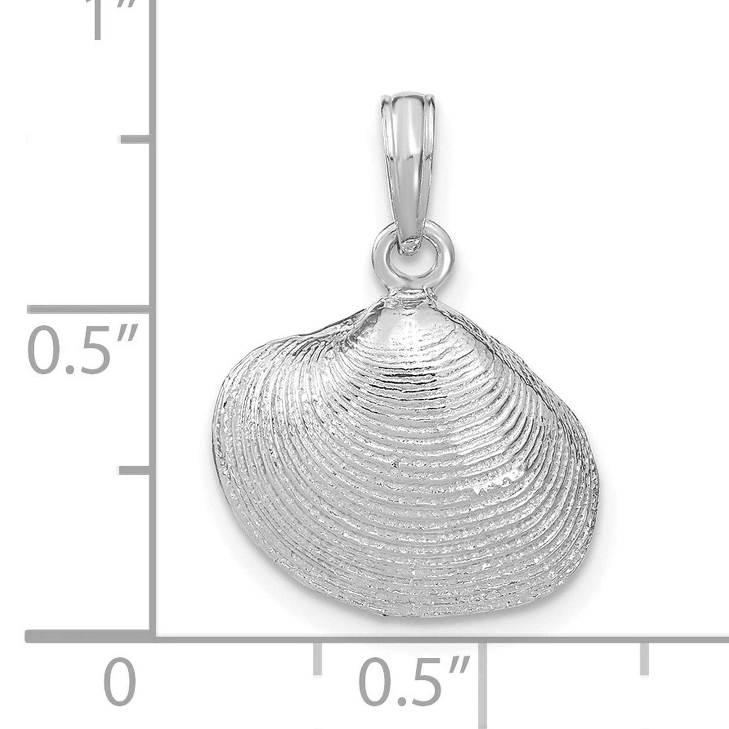 14k White Gold Seashell Pendant Necklace for Women with Textured Shell Design, Ocean Themed Jewelry for Summer and Vacation, Nautical Coastal Charm, Elegant Marine Inspired Beach Style Piece
