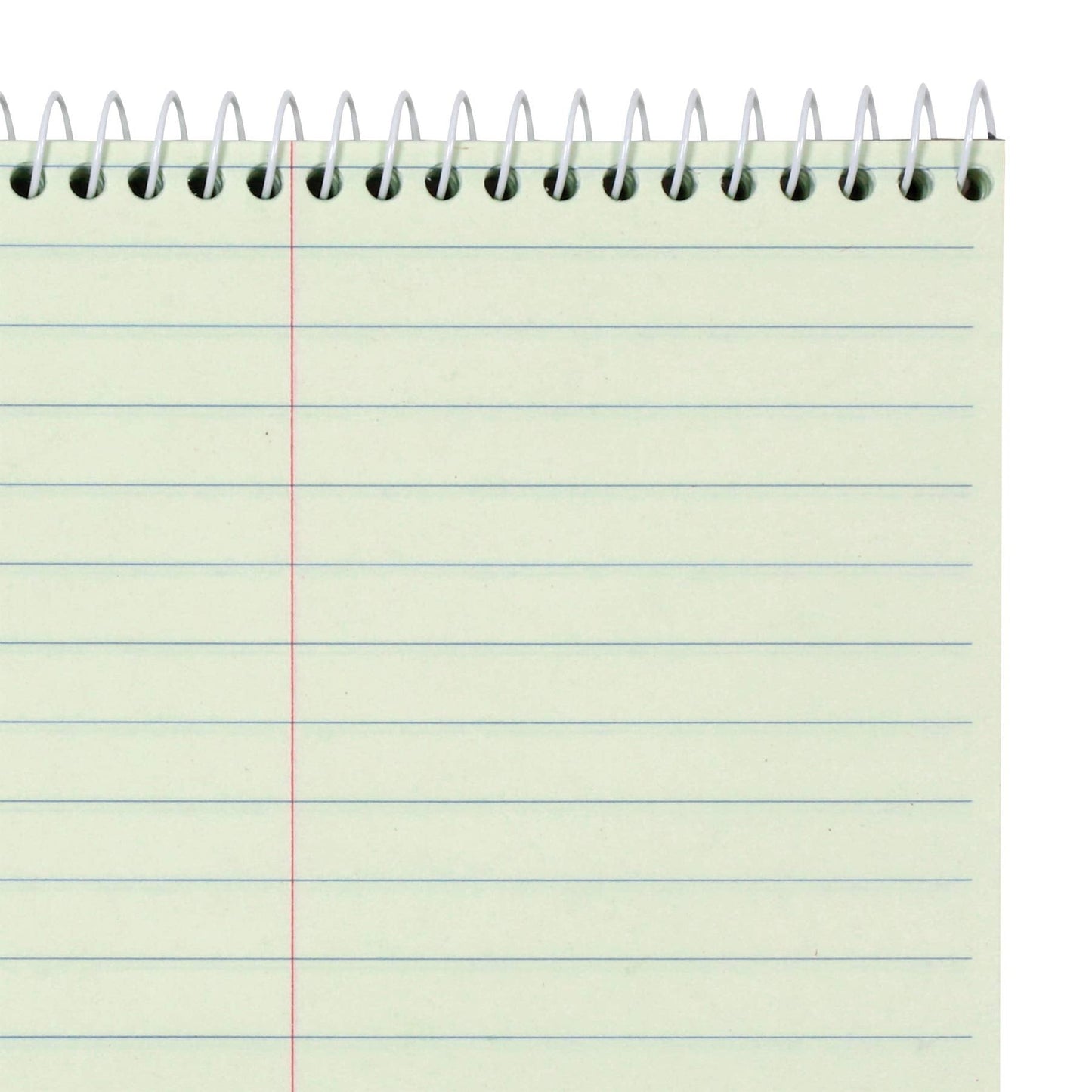 Amazon Basics Steno Notebooks, Gregg Rule, Green Paper for Notes, 80 Sheets, 6" x 9", 12-Pack