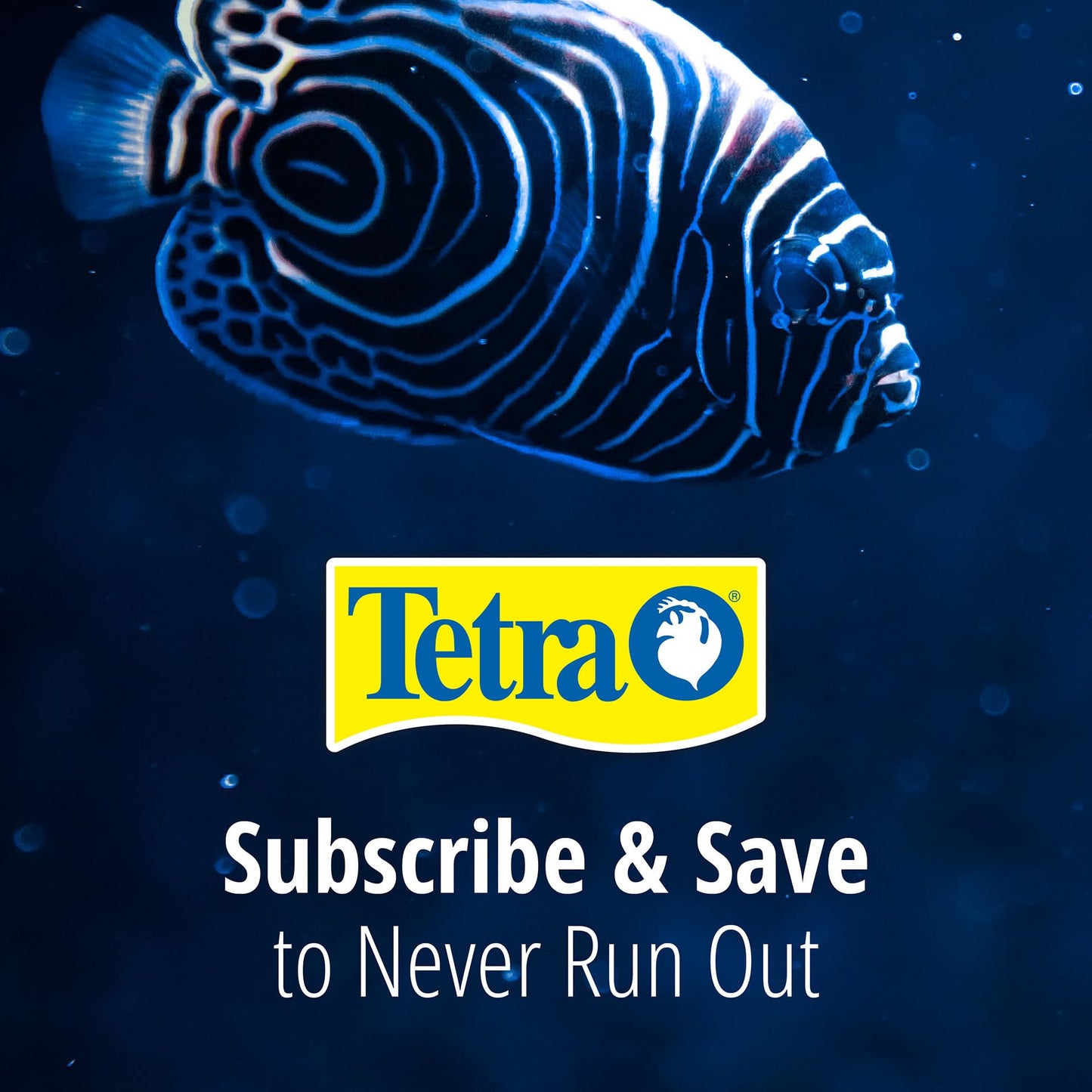 Tetra Whisper Bio-Bag Large Filter Cartridges for Aquariums, 12 Count, Unassembled, Fits Tetra Whisper Fish Tank Filters 10-30 Gal, 20-40 Gal, PF-20, 30, 40, 60, IQ 20, 30, 45, 60