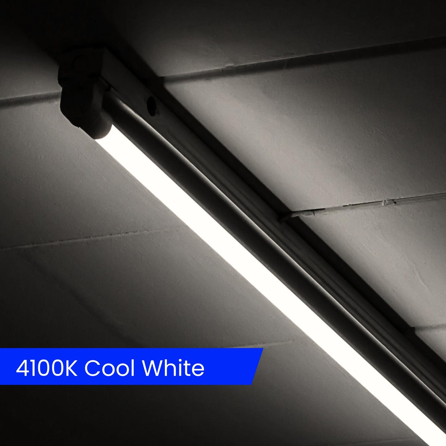 Feit Electric T8 LED Bulbs 4 Foot, 40 Watt Equivalent, Type A Tube Light, Plug & Play, T8 or T12 LED Tube Light, LED Fluorescent Replacement, Frosted, T48/840/LEDG2/4, 4100K Cool White, 4 Pack