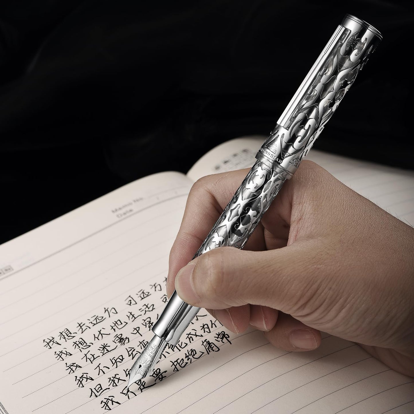 HONG DIAN D1 Piston Fountain Pen Fine Nib, Hollow Skeleton & Resin with Metal Case Set (Silver)