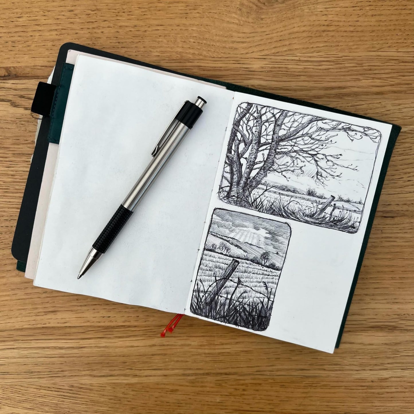 Zebra Pen F-301 Ballpoint Black Ink Fine Point 0.7mm Pen, Easy-Glide Ink, Stainless Steel Retractable, Non-Slip Grip, Professional Design, Ideal for Office, Journal and Planner Use, 12-Pack (27110)