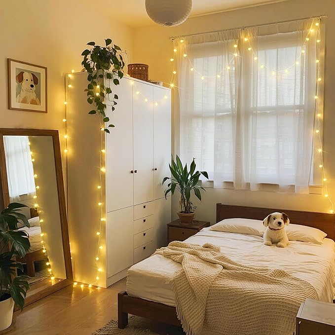JMEXSUSS Globe String Lights Indoor, Color Changing Christmas Lights Plug in, Warm White & Multicolor String Light with Remote for Bedroom Room Tree Party Christmas Decor