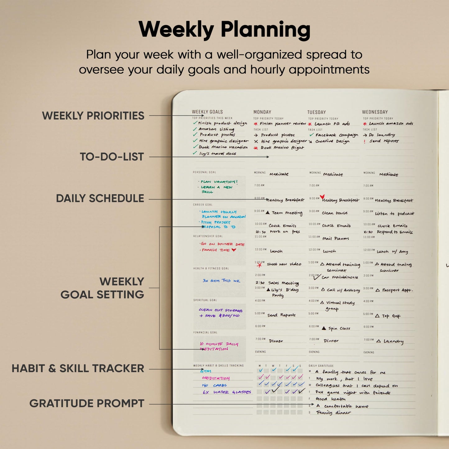 Hourly Planner & Appointment Book (8.5” x 11”) - Premium Hourly Planner with Daily Schedule & 30-Minute Time Slots for Better Time Management by PRODUCTIVITY STORE (A4, Black)