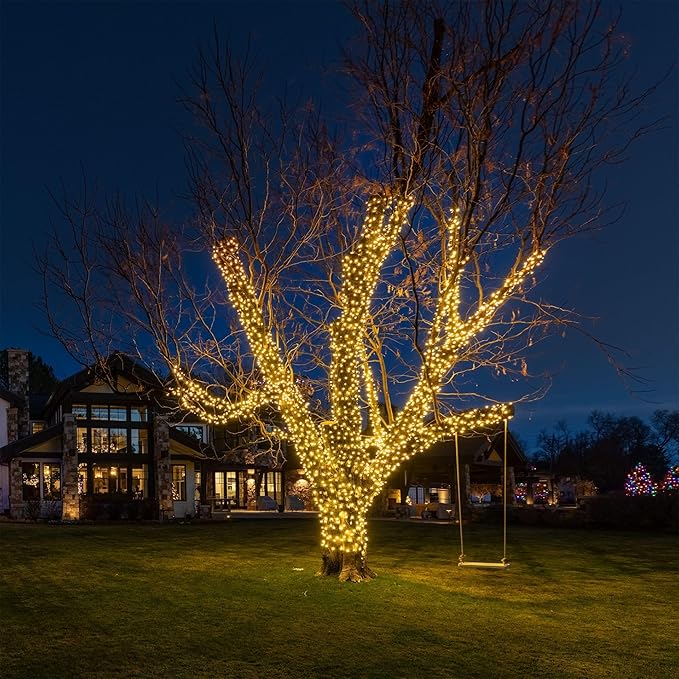 Novelty Lights 24FT 70 LED C6 Christmas String Lights, Outdoor Tree Commercial Grade LED Lights, Permanent Christmas Decorations (Warm White)