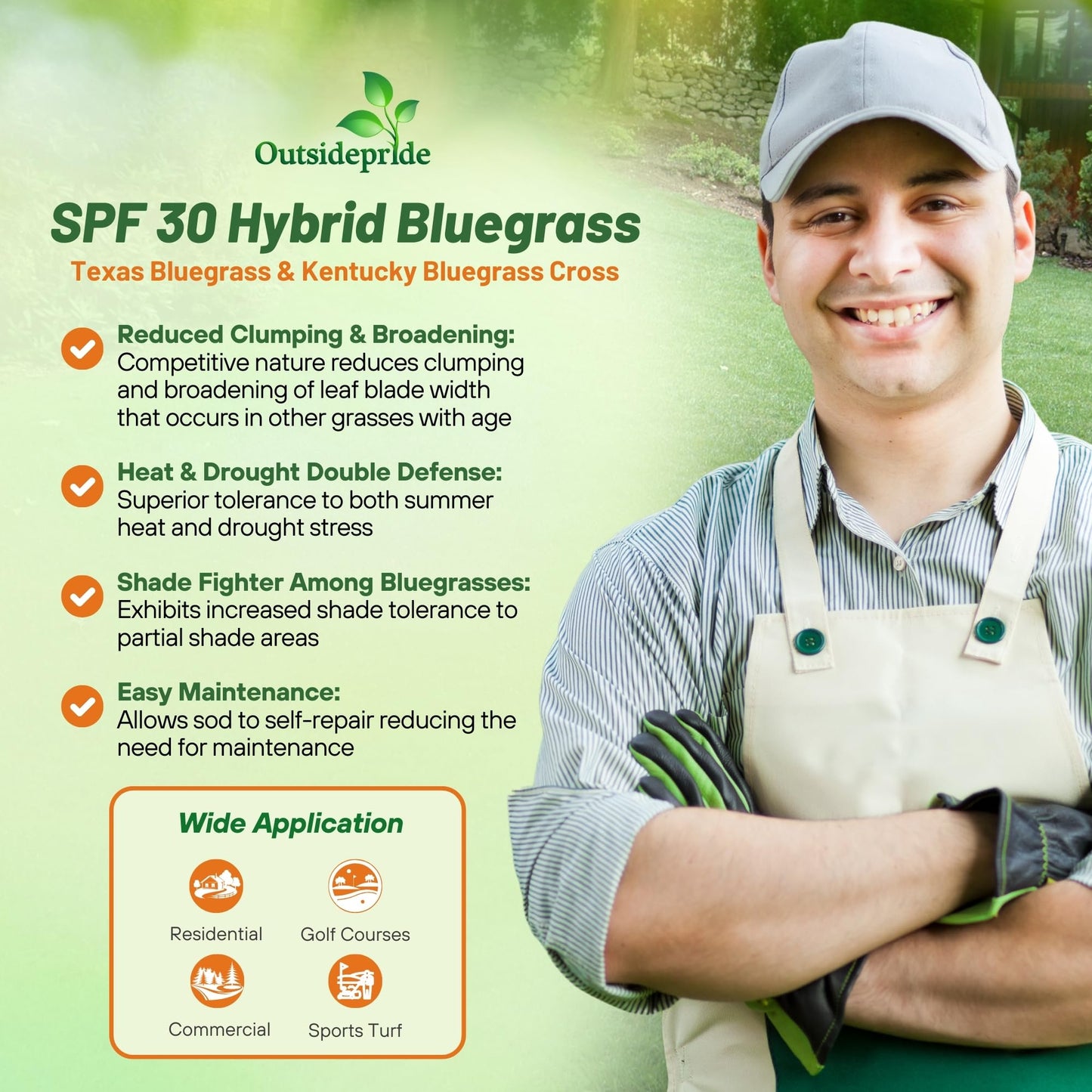 Outsidepride SPF-30 Hybrid Bluegrass Seeds - 25 lbs. Heat & Drought Tolerant, Texas Bluegrass & Kentucky Bluegrass Seed Mix for Challenging Climates, OptiGrowth Coated for Better Establishment