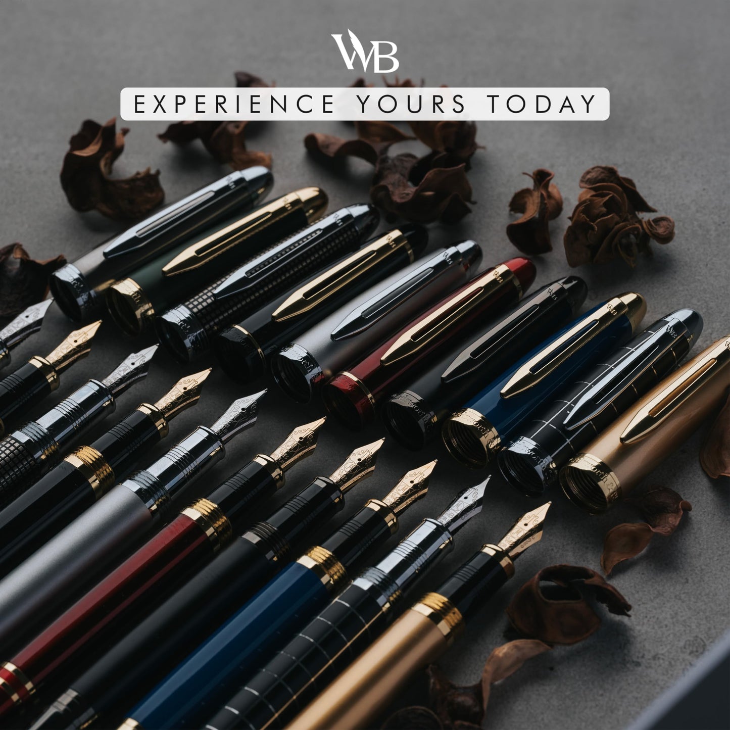 Wordsworth & Black Majesti Fountain Pen-(Red), Luxury Case, 24K Gold Finish; 18K Gilded Medium Nib- Ink Cartridges, Refillable Ink Converter-Calligraphy Pen-Best Business Gift Set for Men & Women