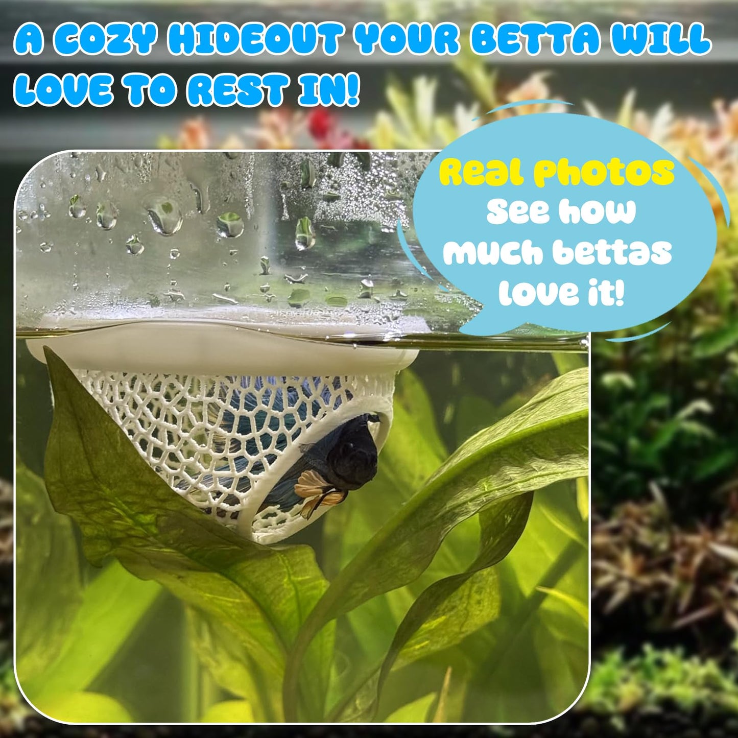 Floating Betta Hide & Shrimp Cave – All-in-One Aquarium Hammock, Feeder, and Safe Resting Spot for Stress-Free Fish Tanks