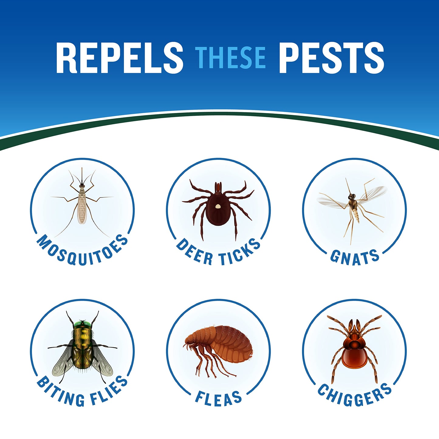 Cutter Backwoods Insect Repellent, Mosquito Repellent, 25% DEET, Sweat Resistent, 6 Ounce (Aerosol Spray)
