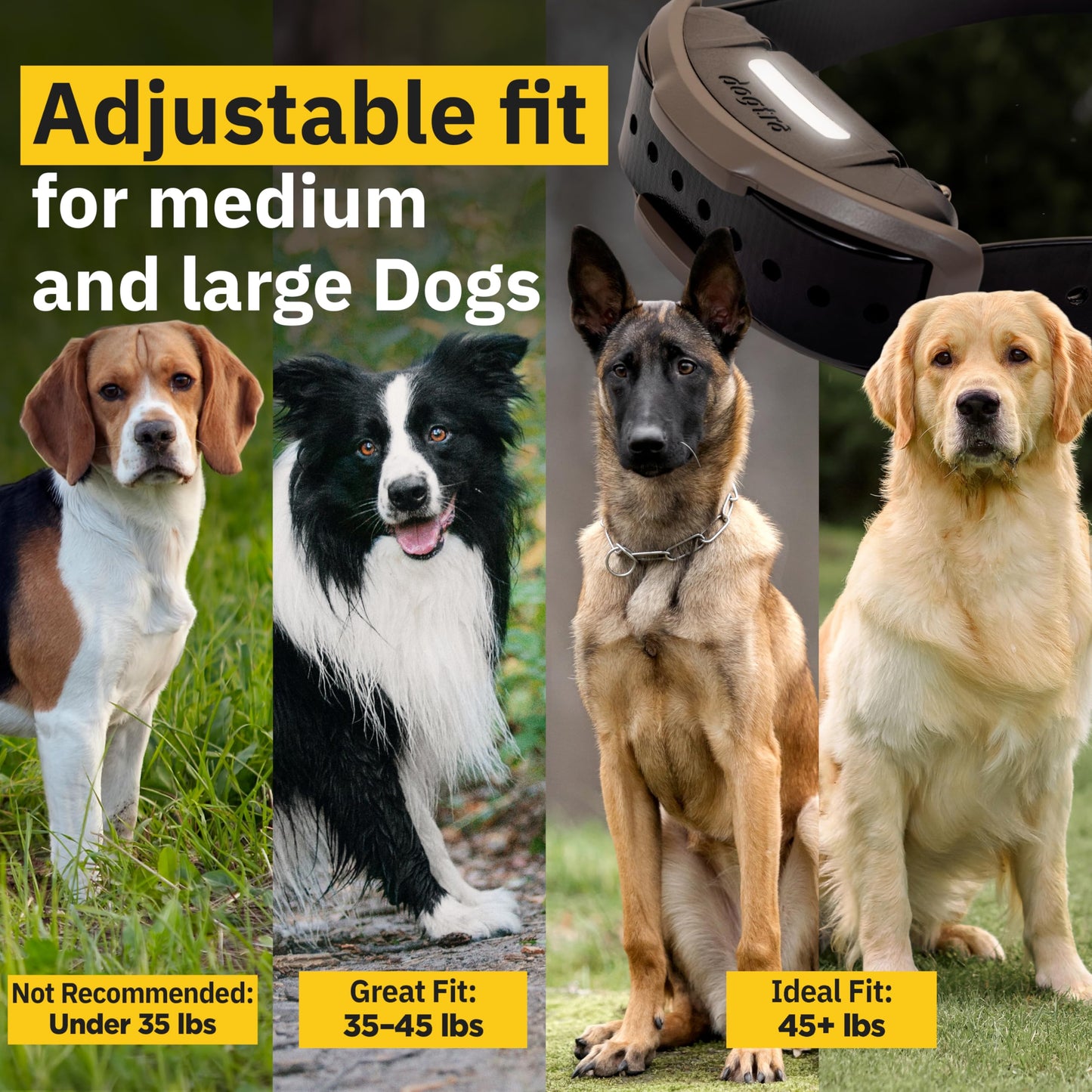 Dogtra 1900X E-Collar for Dog Training - 3/4 Mile Range, for Dogs 35 lbs+, IPX9K Waterproof, 100 Stimulation Levels, Vibration, Tone, Rechargeable - Ideal for Dog Owners and Professional Trainers
